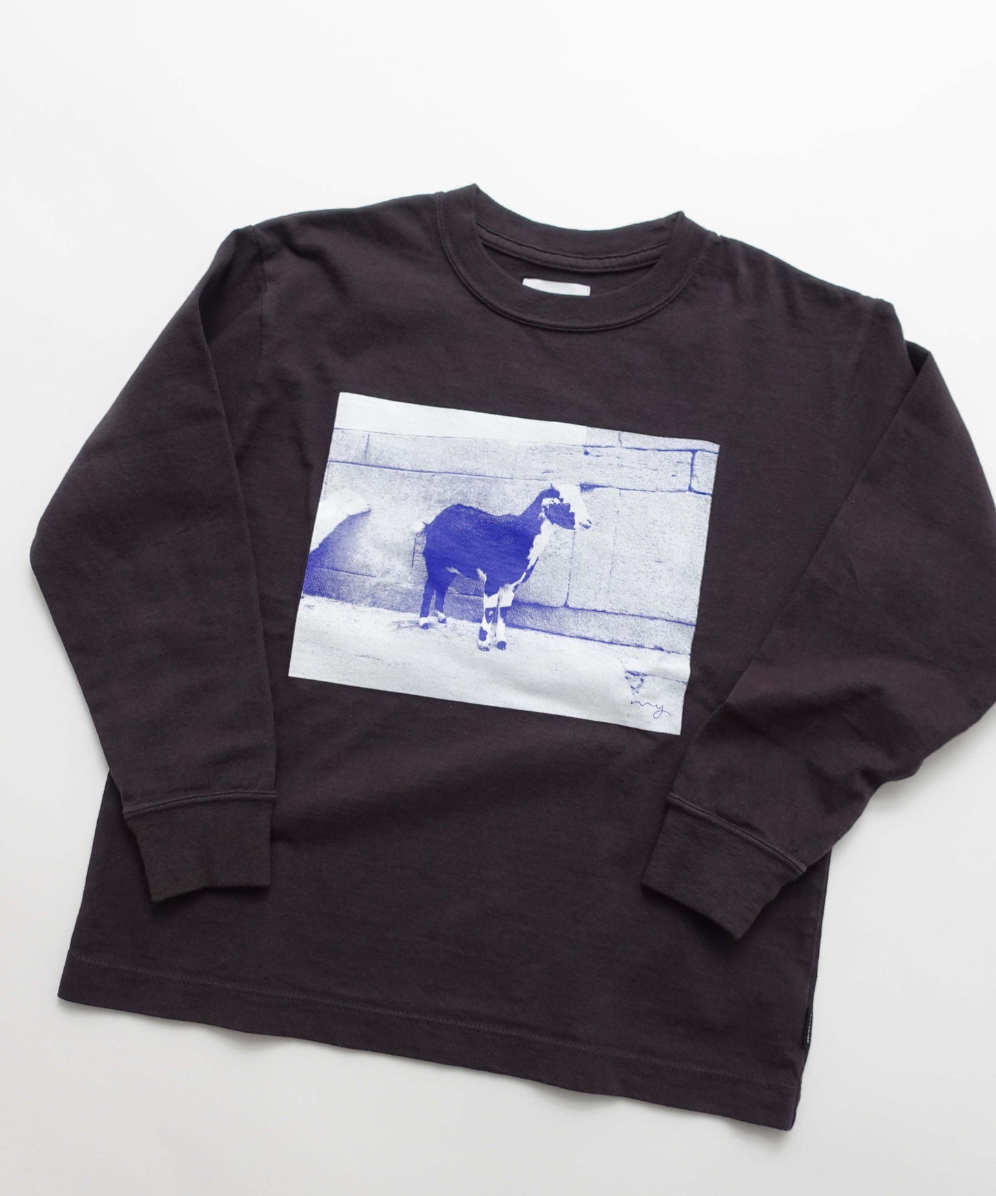 USA CO L/S TEE PHOTO